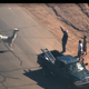 Illustration for article titled Loose Llama Lassoed From A Moving Pickup Truck, Already An Ad